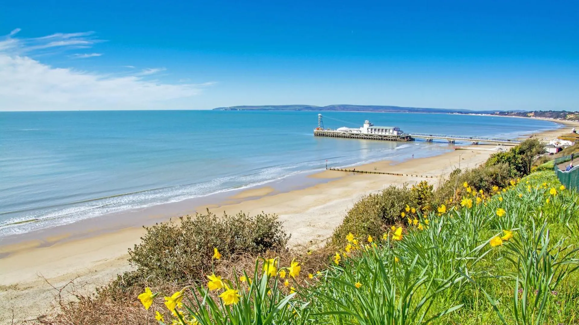 Bournecoast: Large Home Near Beach / Shops -Hb8380 Poole Holiday home